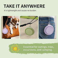 Collapsible Dog Bowls 2-Pack - 12 OZ Macaron Violet and Green - image 4