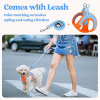 rabbitgoo Dog Harness Small Sized and Leash Set, Step in Soft Light Puppy Vest, Breathable Mesh Pet Harness, Reflective for Safe Easy Walking, Blue & Orange XXS