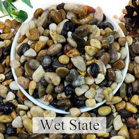 20lbs Natural River Rocks for Plants, 3/8" Aquarium Gravel Decorative Polished Mixed Pebbles for Fish Tank, Gardening, Flower Pots, Vase Fillers, Indoor Water Fountains, Landscaping