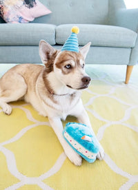 ZippyPaws Birthday Box - Dog Squeaky Toys to Keep Them Busy, Funny Food Plush for Small, Medium, & Large Dogs, Cute Stuffed Puppy Toy & Hat, Pet Products, Gift for Dogs of All Breeds - 3-Pack