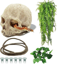 Reptiles Skull Hide Decorations Bearded Dragon Tank Accessories - Human Skull+Vine+Rattan+Leaf