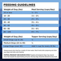 BIXBI Rawbble Freeze Dried Dog Food, Turkey Recipe, 4.5 oz - 96% Meat and Organs, No Fillers - Pantry-Friendly Raw Dog Food for Meal, Treat or Food Topper - USA Made in Small Batches
