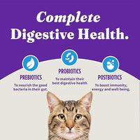 Halo Holistic Cat Food Wild Caught Salmon & Whitefish Formula, Healthy Grains Dry Cat Food, For Sensitive Stomach Support, Kibble for Adult Cats, 3 lb Bag