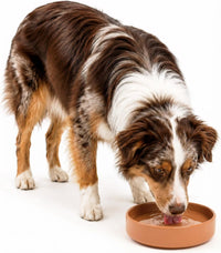 The Perfect Dish, Silicone Dog Bowl for Food & Water - Terracotta / Medium (7.5” Across x 2.25” Tall)
