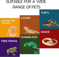 Reptile Hide for Leopard Gecko, Bearded Dragon - Medium - image 2