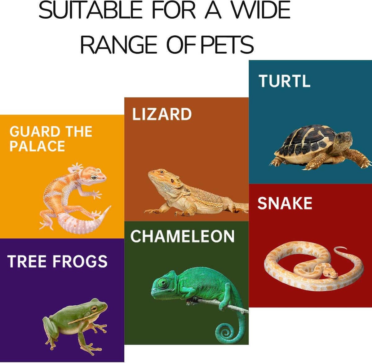 Reptile Hide for Leopard Gecko, Bearded Dragon - Medium - image 2