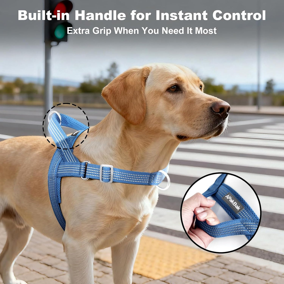 No Pull Dog Harness with Handle - Blue / S - image 3