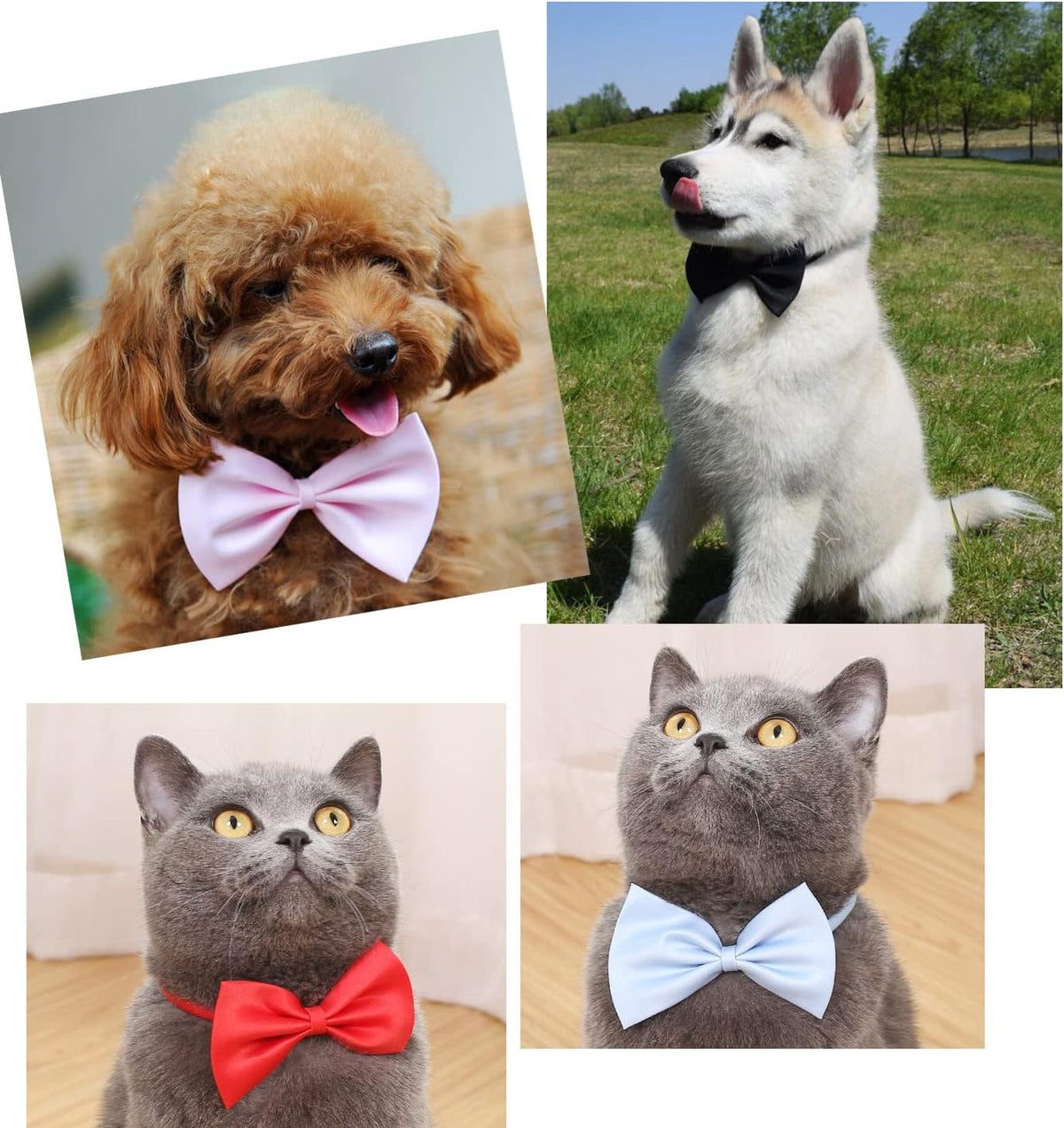 20 Pcs Dog Bow Tie, Bowties for Puppy Dogs - image 4