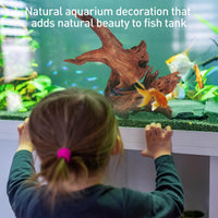 WDEFUN 3 PCS Natural Driftwood for Aquarium Decor Fish Tank - Mopani driftwood （10-14 inch pack of 2） - image 3
