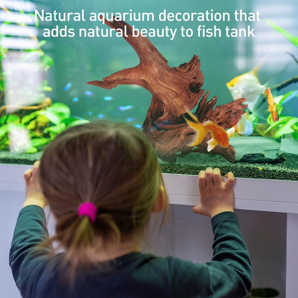 WDEFUN 3 PCS Natural Driftwood for Aquarium Decor Fish Tank - Mopani driftwood （10-14 inch pack of 2） - image 3
