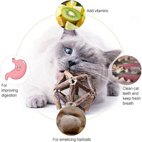 Catnip Toys-2Pcs Natural Silvervine Stick Catnip Ball&Bell Ball-Cat Toys for Indoor Cats- Cleaning Teeth Molar Tools Matatabi Cat Chew Toy-Kitten Toys All Breeds