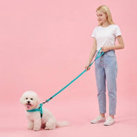 6FT Reflective Dog Leash for Small Medium Dogs, 5/8" Width - Teal / 5/8''x 6 FT - image 2