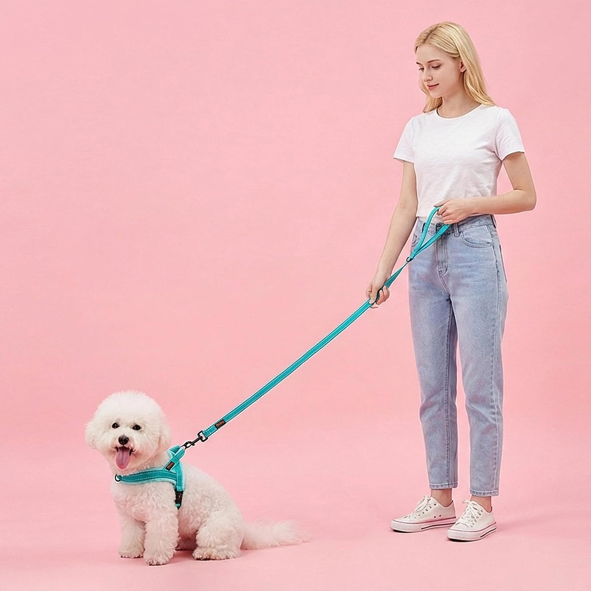 6FT Reflective Dog Leash for Small Medium Dogs, 5/8" Width - Teal / 5/8''x 6 FT - image 2