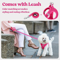 rabbitgoo Dog Harness Small Medium Sized and Leash Set, Step in Soft Light Puppy Vest, Breathable Mesh Pet Harness, Reflective for Safe Easy Walking, Rose Red L