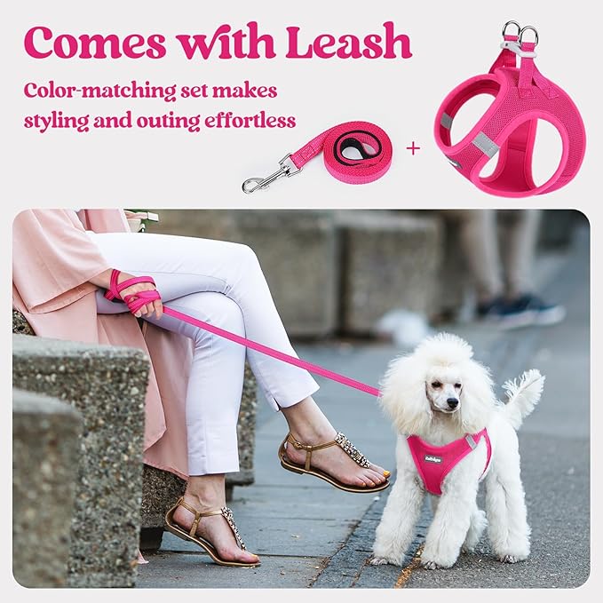 rabbitgoo Dog Harness Small Sized and Leash Set, Step in Soft Light Puppy Vest, Breathable Mesh Pet Harness, Reflective for Safe Easy Walking, Rose Red M