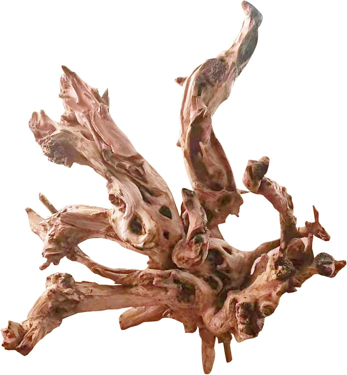 Natural Aquarium Driftwood for Fish Tank Reptile Terrariums Decor – Essentials for Fish - Mopani Driftwood 13 to 17 Inch (Pack of 1)
