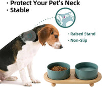 Cat Bowls Set of Two, 5.1” Ceramic Cat Food Bowls - Dark Green / 2 Bowls+Tray - 6.1" - image 4