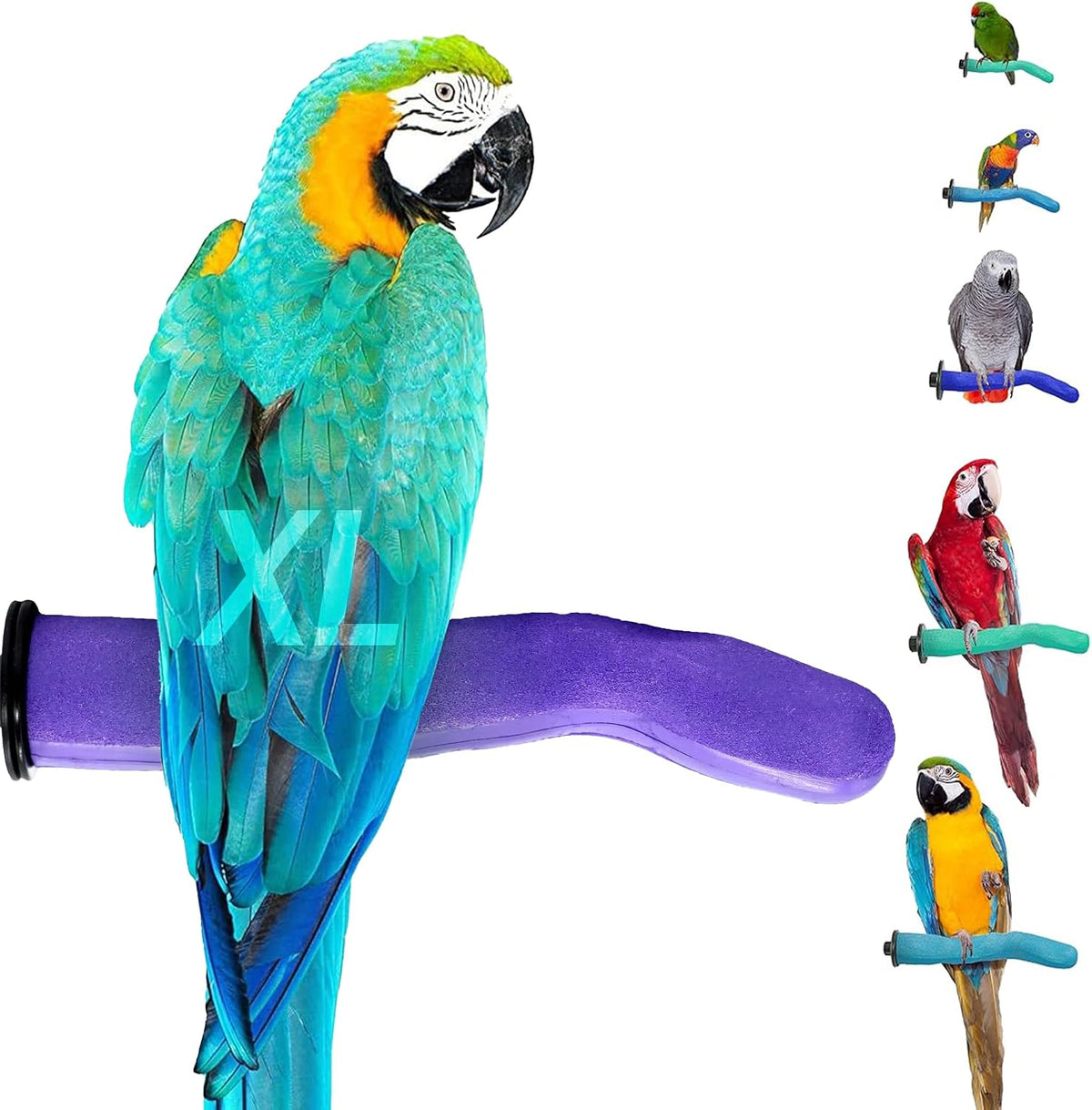 Sweet Feet and Beak Safety Pumice Bird Perch - Purple / X-Large 14"