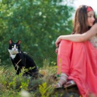 Reflective Cat Long Leash 15 FT - 15 FT / Black - image 2
