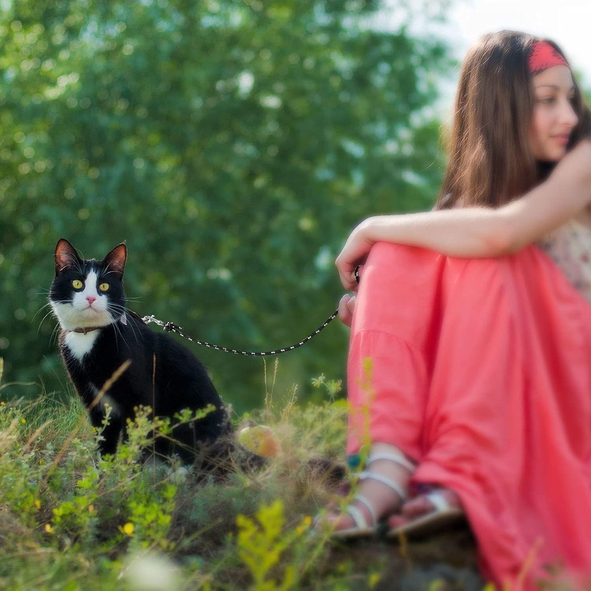 Reflective Cat Long Leash 15 FT - 15 FT / Black - image 2