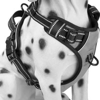 PoyPet No Pull Dog Harness Medium - XL / Gray