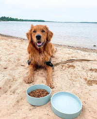 Barkin’ Trails Travel Dog Bowls, Portable Outdoor Water - Icy Blue - image 2