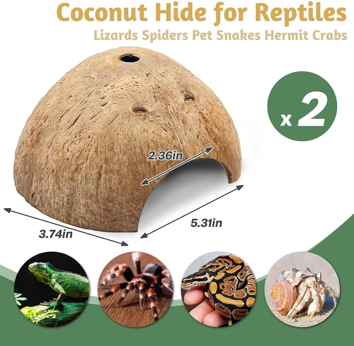 PINVNBY 2 PCS Natural Coconut Reptile Hideouts Lizard Coco Hut Hermit - Smooth Surface / 2 PCS - image 2