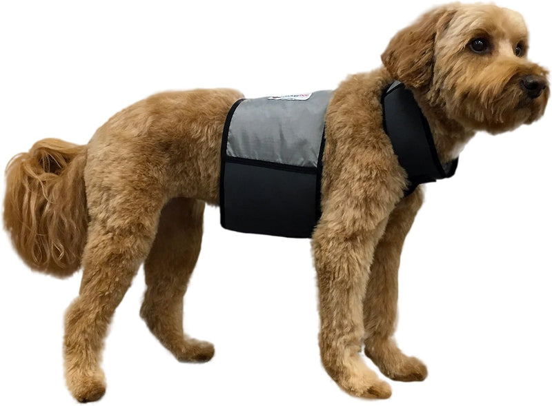 CoolerDog Dog Cooling Vest & Cooling Collar - M