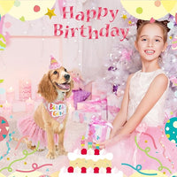 SCENEREAL Dog Birthday Bandana Hat with Dress Girl Set Party Supplies Plaid Puppy Birthday Outfit Cute Dog Tutus for Small Medium Lage Dogs, Pink Plaid
