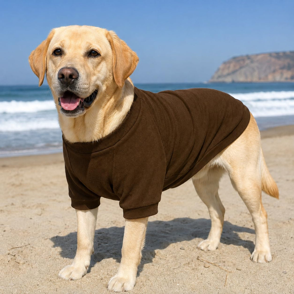 Lovelonglong ribbed knit cotton dog t-shirt in coffee - view 4