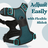 rabbitgoo Dog Harness for Large - Blue Coral / X-large - image 3