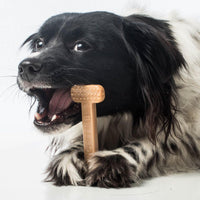 Bullibone Nylon Dog Chew Toy for Aggressive Chewers - Bacon / Small - Single - image 4