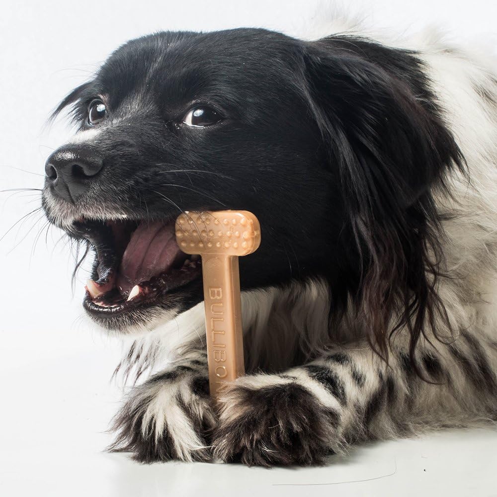 Bullibone Nylon Dog Chew Toy for Aggressive Chewers - Bacon / Small - Single - image 4