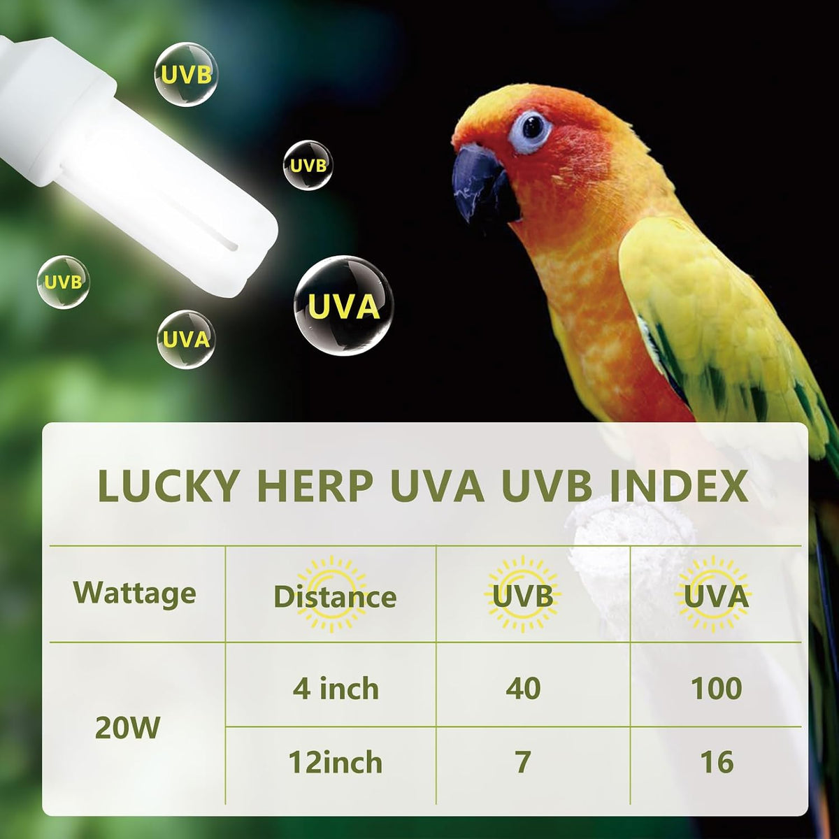 LUCKY HERP UVA UVB Light Bulb for Birds 2.4 UVB 20W Compact - image 4