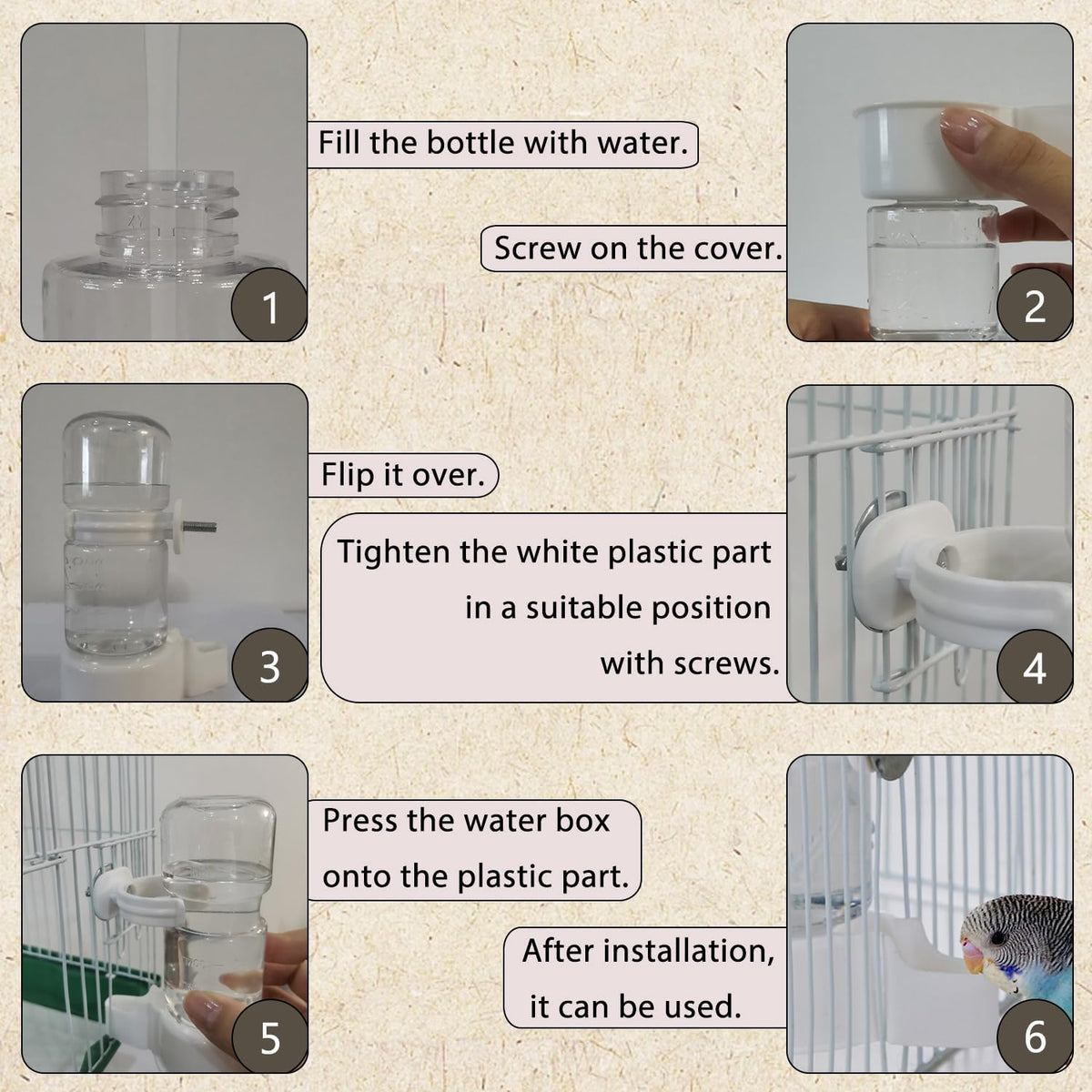 IBWell Automatic Bird Water Dispenser No Mess Parrot Feeder Automatic - image 3