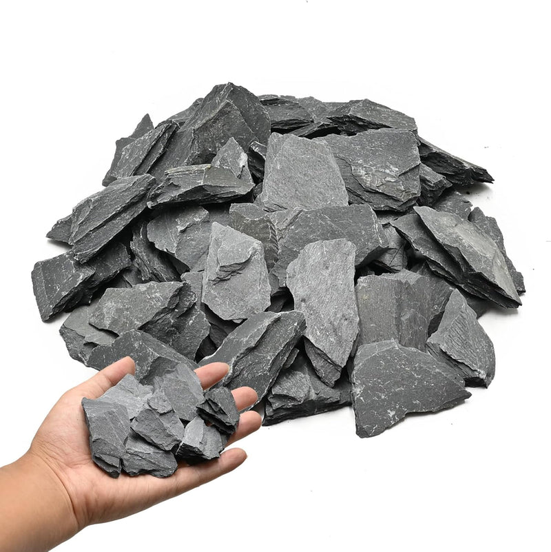 Natural Rocks Seiryu Stone 1-2.5 Inches Decorative Stones for Fairy - Slate Stone / 1lb(1-2.5Inch)