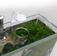 Vimvins 5 Gallon Glass Small Fish Tank with Filter Light and Lid - 3 Gallon - image 4