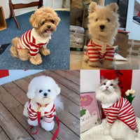MANON ROSA Boy Dog Polo Shirt for Small Dogs, S - X-Large / Red - image 2