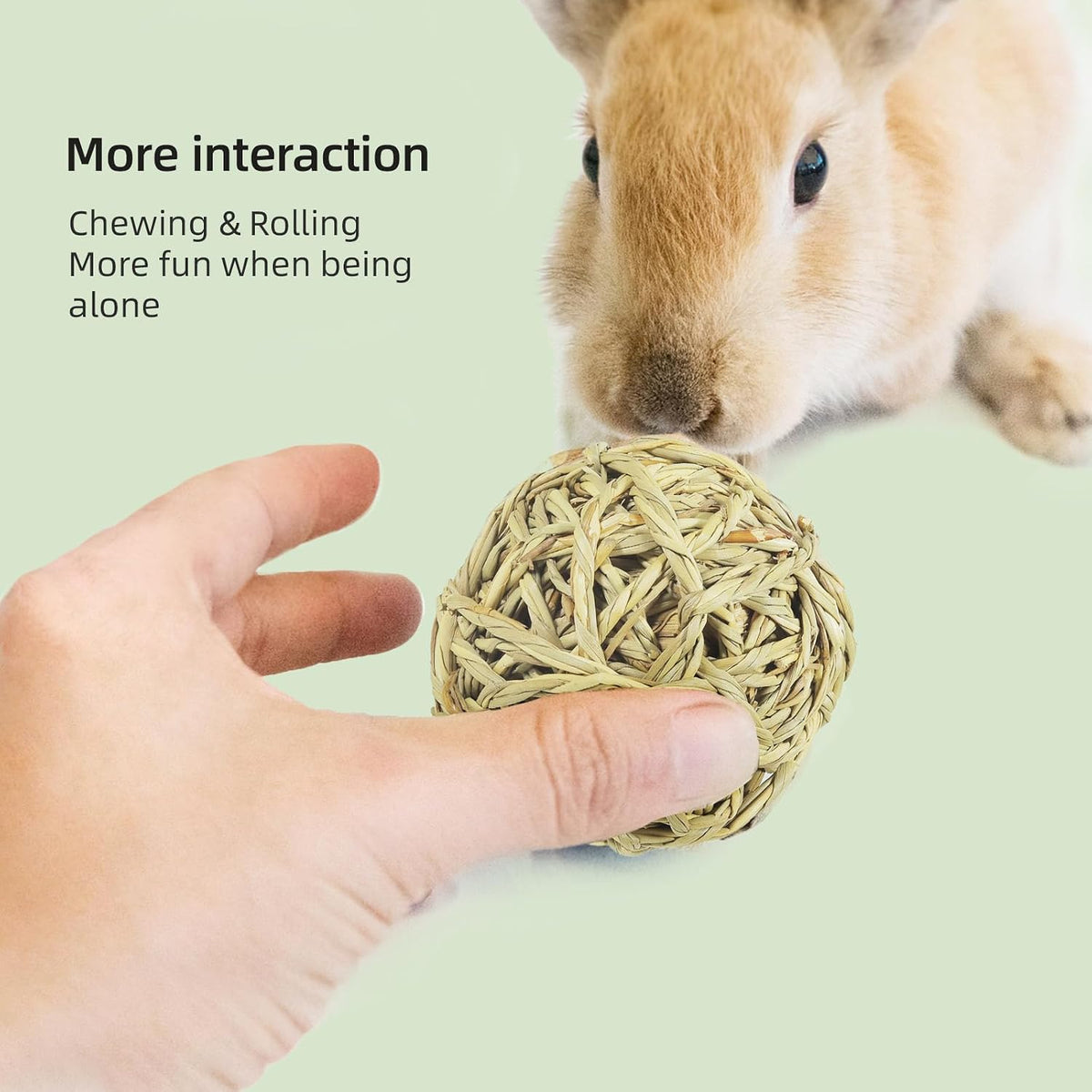 andwe Small Animals Play Activity Balls Rolling Chew Toys – Essentials for Small Pets - Pack of 9 - image 4