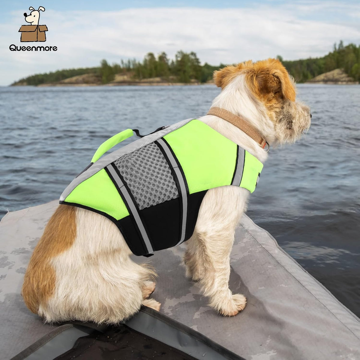 Dog Life Jacket, Small Float Vest for Swimming Boating Kayaking - Small / Green - image 2