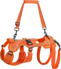 OneTigris Dog Lift Harness for Small Dogs XS - XX-Small / Orange