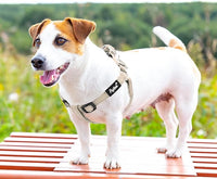 PUPTECK No Pull Dog Harness Soft Adjustable Basic Nylon Step in Puppy Vest Outdoor Walking with ID Tag, Reflecive Beige, S