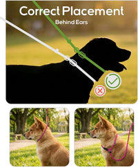 Slip Lead for Dogs, No Pull Training Leash, Padded Handle – Essentials for Dogs - M-3/8"x6'(50-110lbs) / Hot Pink - image 3