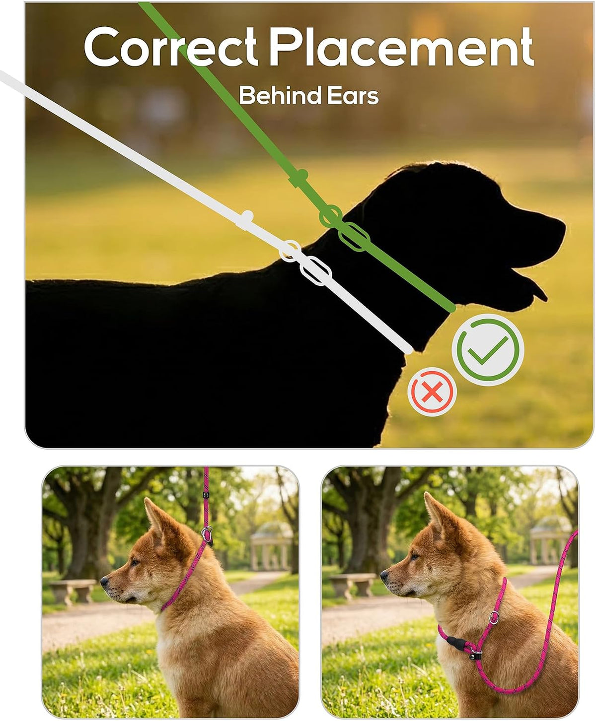 Slip Lead for Dogs, No Pull Training Leash, Padded Handle – Essentials for Dogs - M-3/8"x6'(50-110lbs) / Hot Pink - image 3