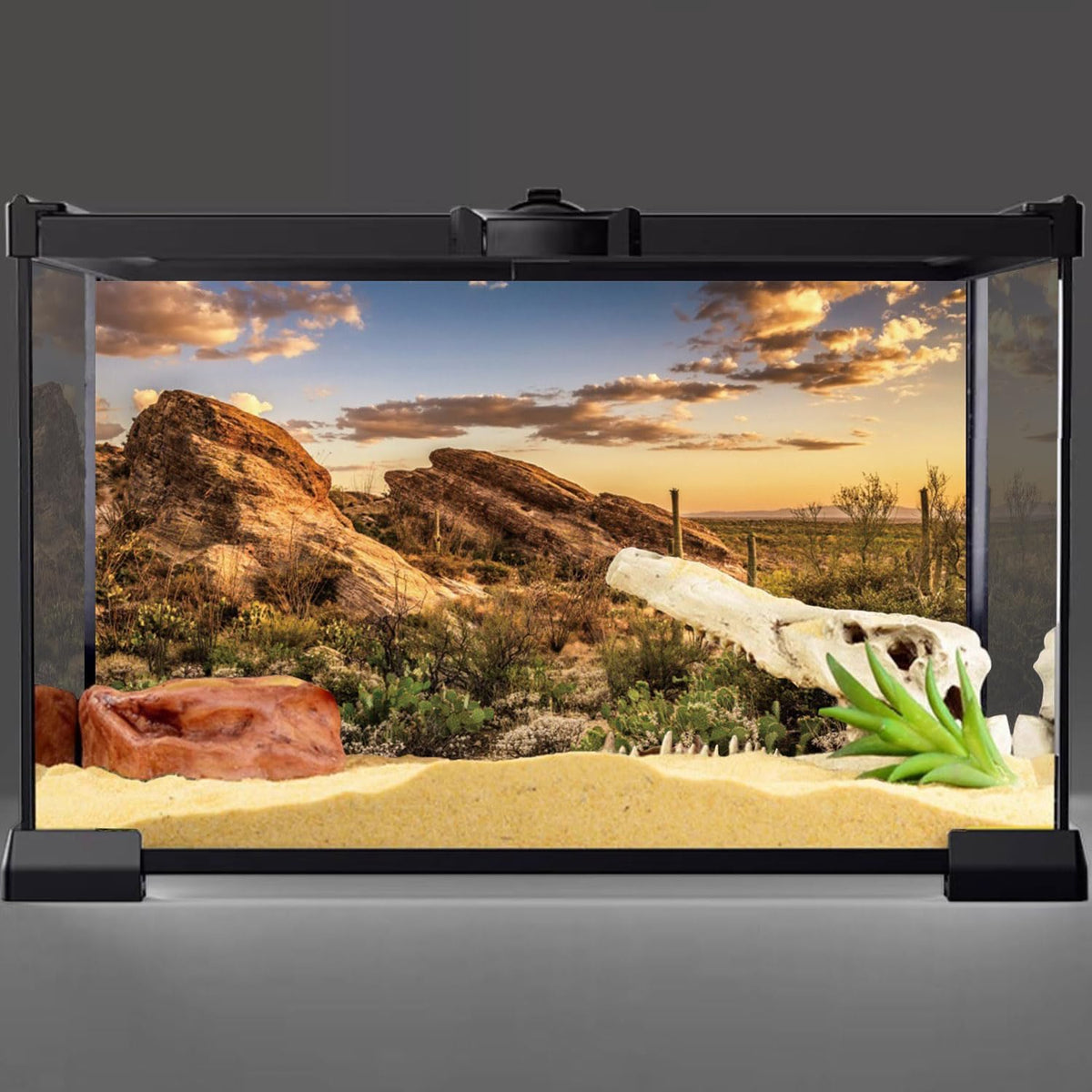 36x18 in Desert Reptile Habitat Backdrop Oasis Cactus Terrarium - 30x18 inches - image 2