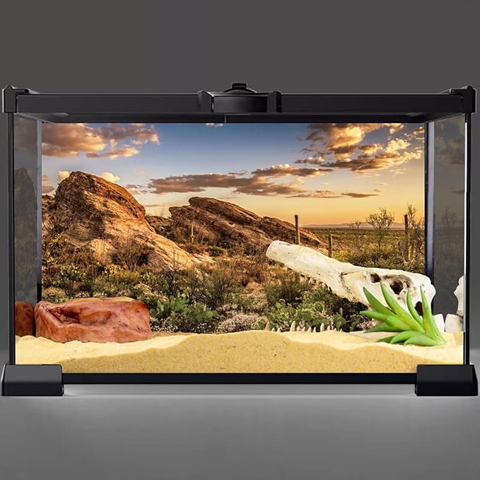 AWERT Reptile Habitat Background Blue Sky Oasis Cactus Sun and Desert Terrarium Background 48x24 inches Durable Polyester Background