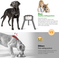 Dog Bowl Stand for Medium & Large Dogs, Adjustable Width 7-10.7" - Height: 11", Width: 7-10.6" / Grey - image 2