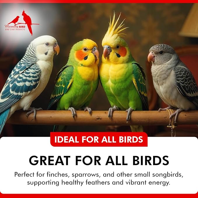Morning Bird Calcium Plus Powder for Birds 6 oz – Calcium Carbonate Powder with Magnesium Glycinate & Vitamin D – Bone Strength & Immune Support Supplement – Calcium Formula for All Bird Sizes