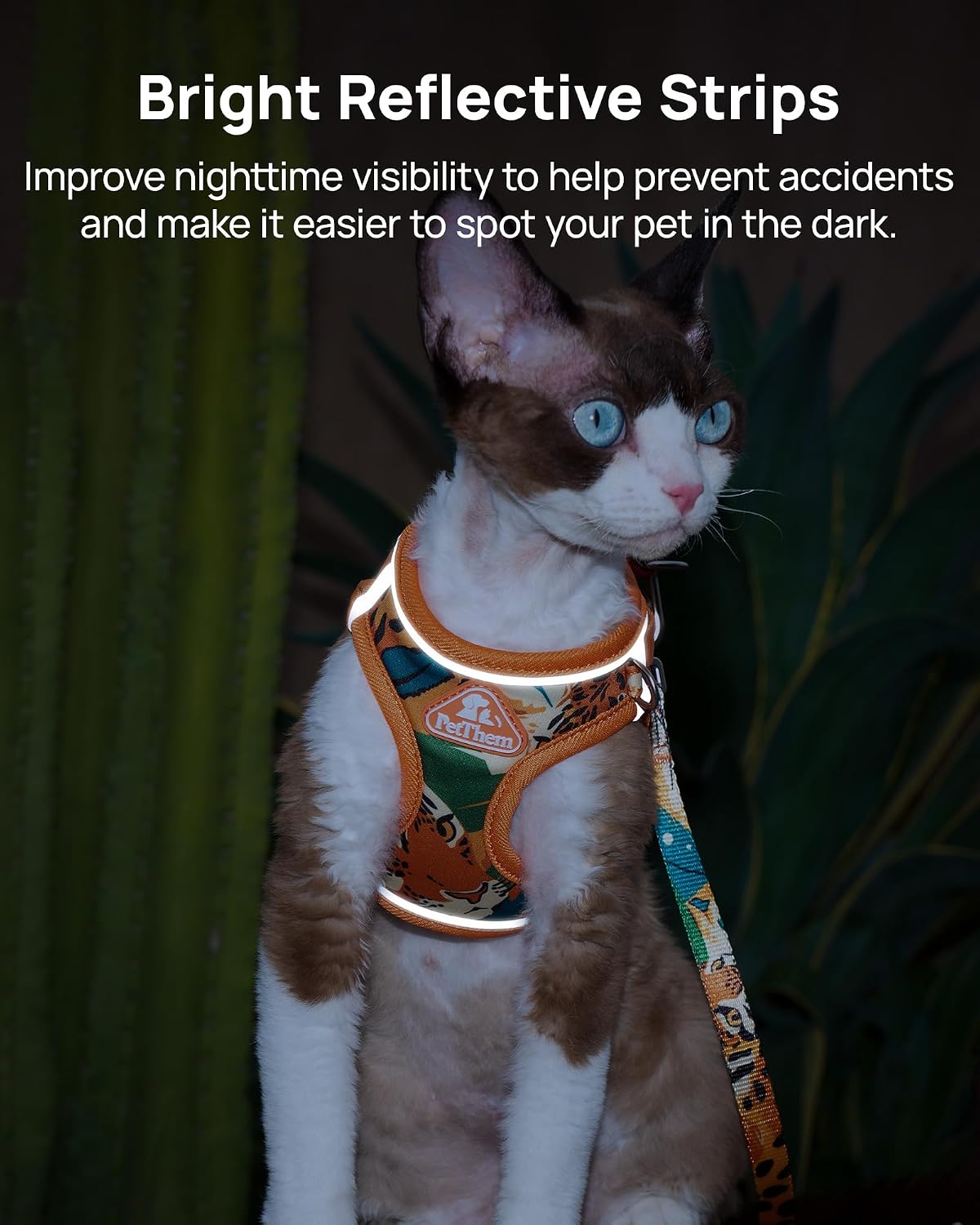 Upgraded Cat Harness and Leash Set - Orange King of The Jungle / L - image 3