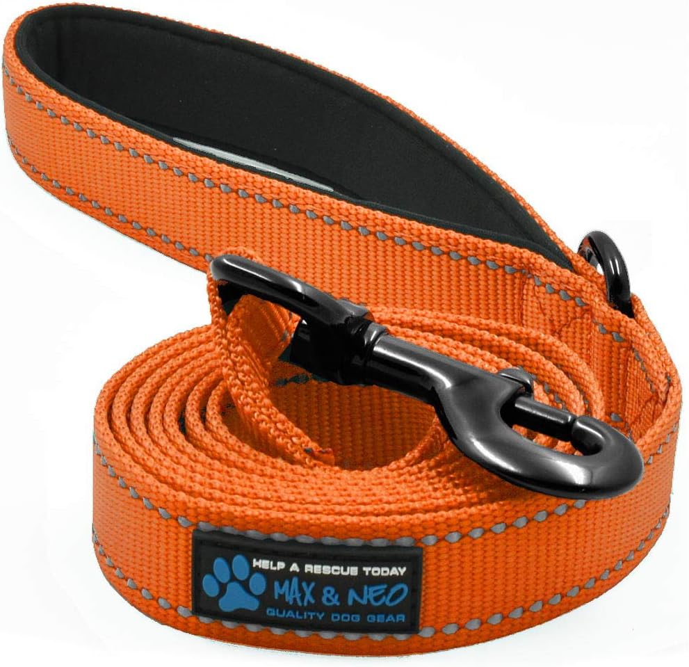 Max and Neo Reflective Nylon Dog Leash - 6 FT x 1" Wide / ORANGE